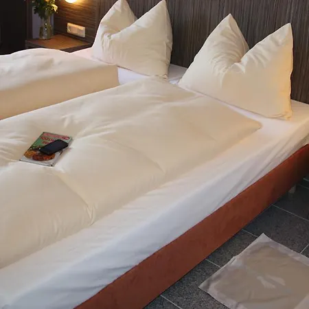 Centro Hotel Alzey Alzey
