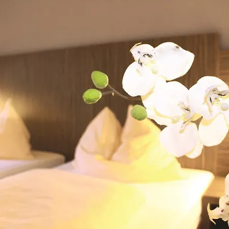 Centro Hotel Alzey Hotel